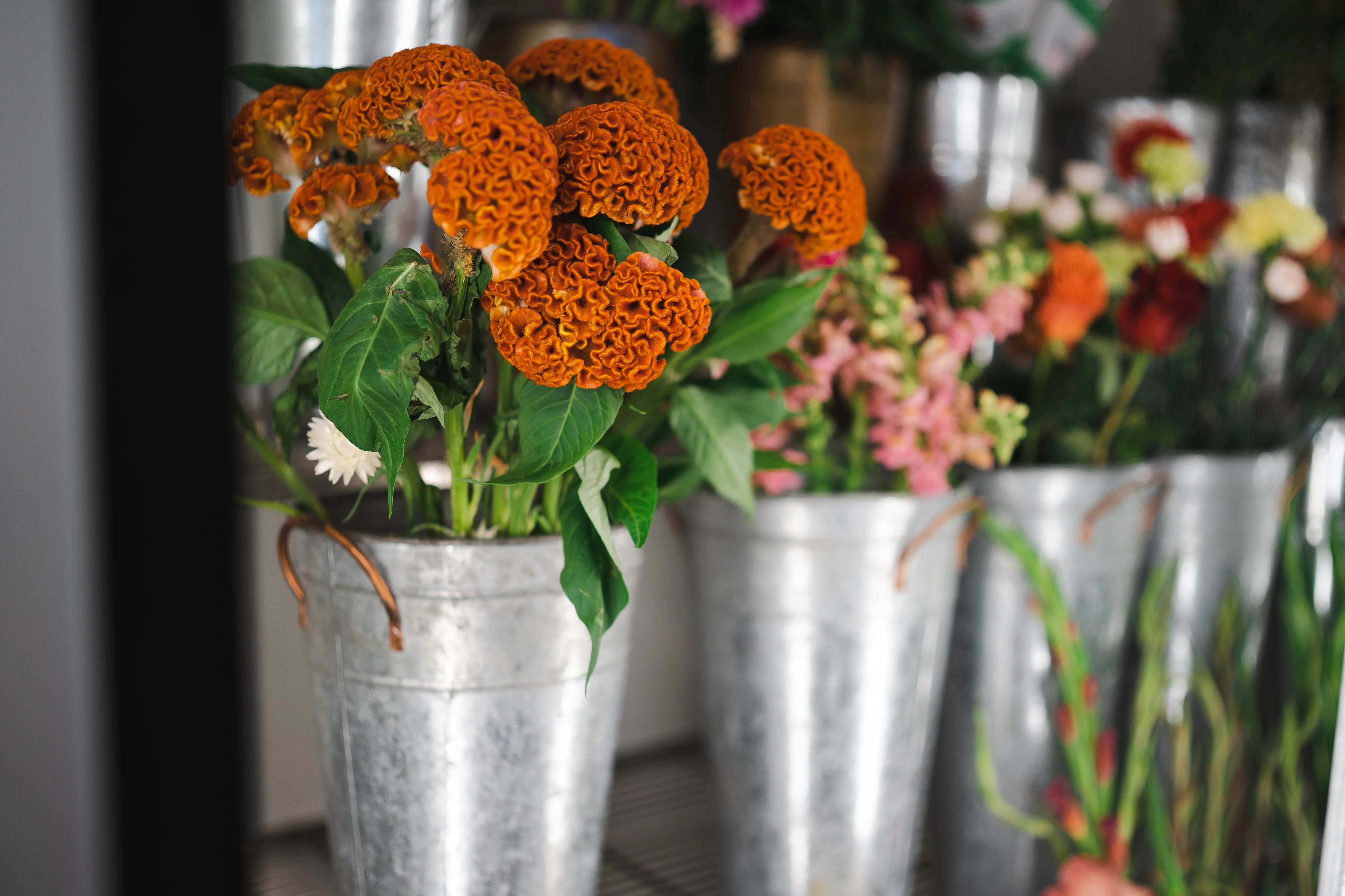 seasonal flower school in Liverpool. Flower classes include learn how to make a seasonal handtied bouquet
